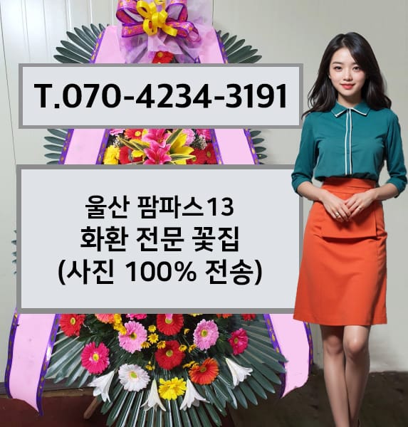 울산 팜파스13 축하화환